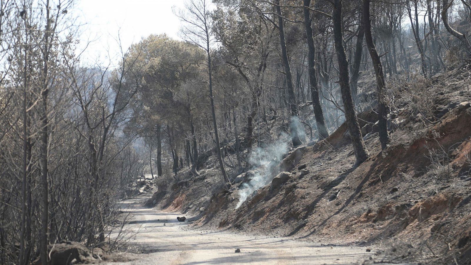 Telediario 1 en cuatro minutos - 28/06/19 - Ver ahora