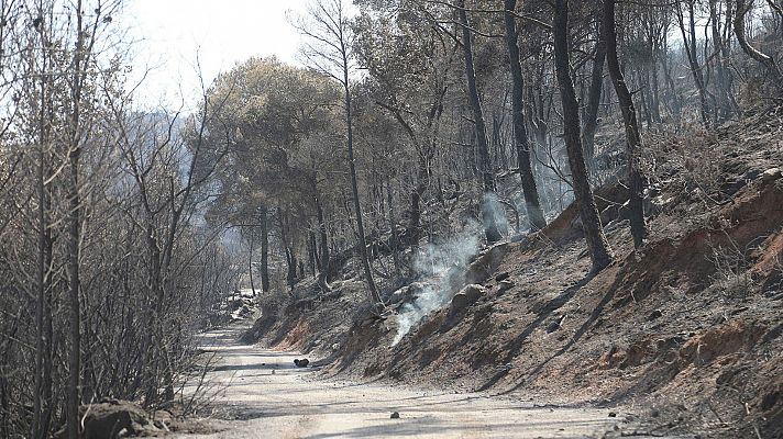 Telediario 1 - Telediario 1 en 4' - 28/06/19