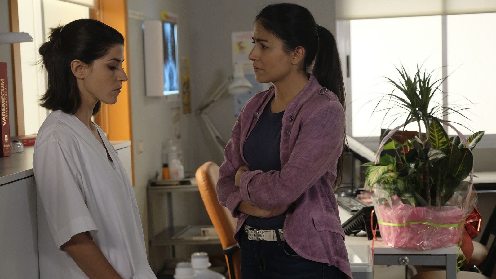 Servir y proteger - Episodio 544 - Ver ahora