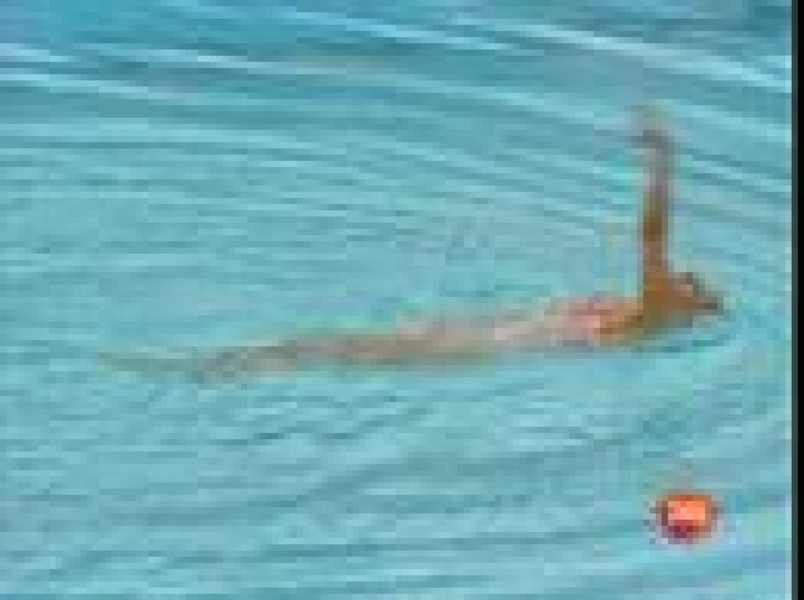 A la caza del oro | Ver