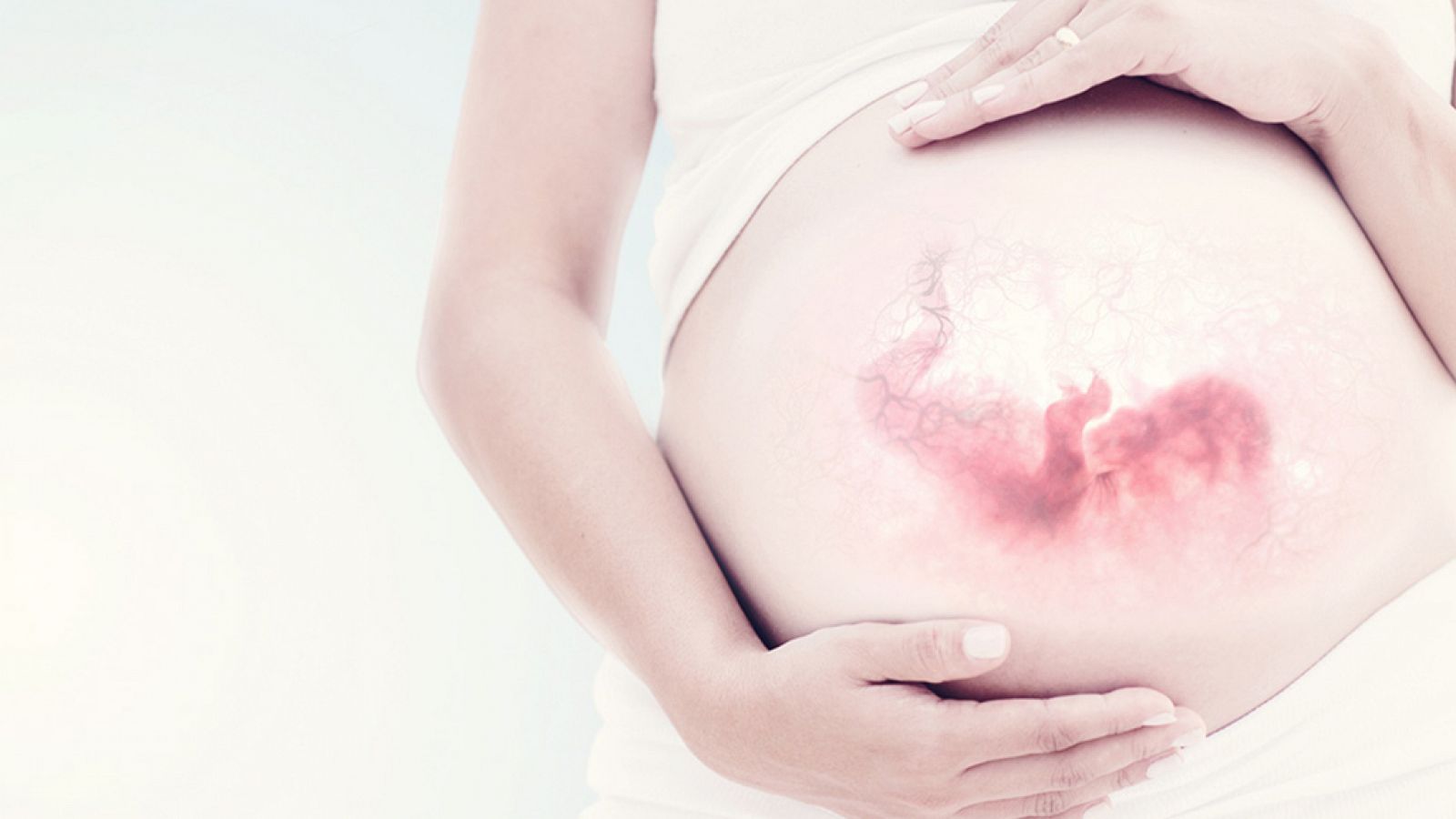 Documenta2 - Los nueve meses que te hicieron: Contra viento y marea - ver ahora