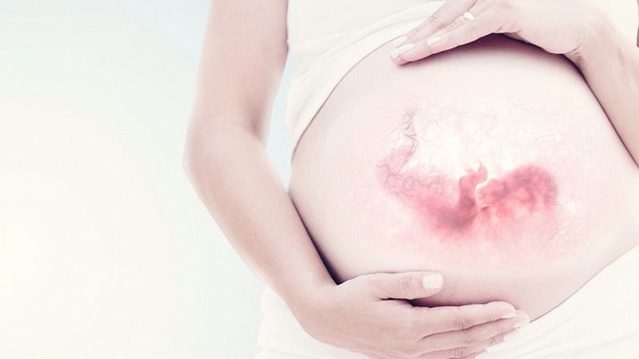 Documenta2 - Los nueve meses que te hicieron: Contra viento y marea