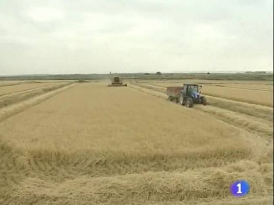 Noticias Aragón - Noticias Aragón - 24/06/09