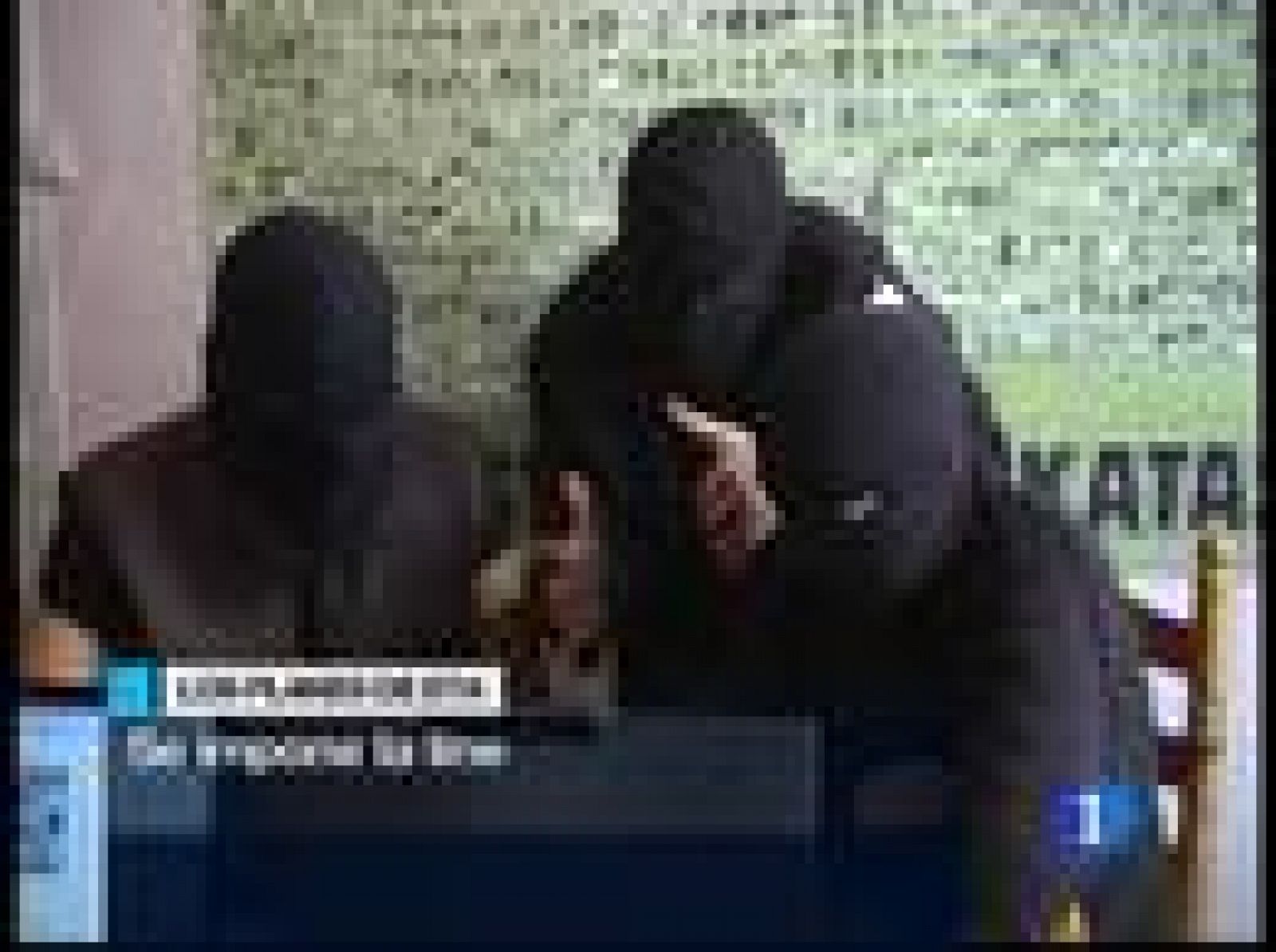 Telediario 1 en cuatro minutos - 24/06/09 | Ver