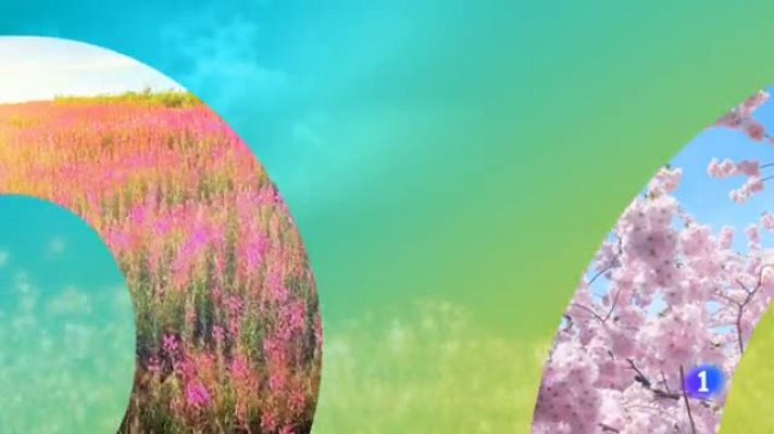 Informativo Telerioja - El tiempo en La Rioja - 04/07/19