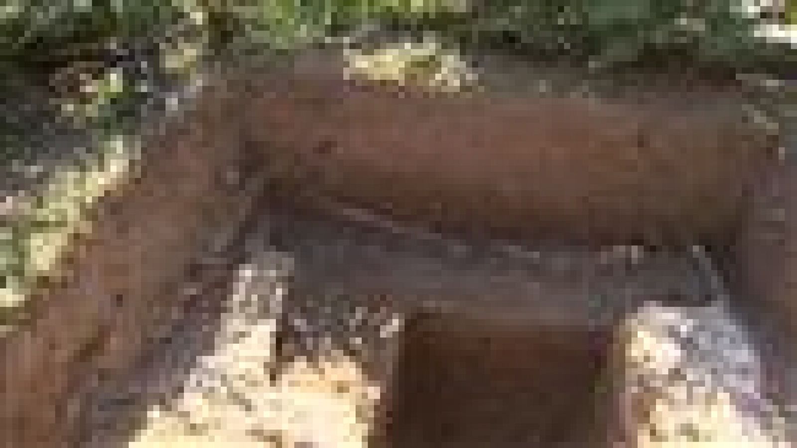 Telecanarias - 04/07/2019