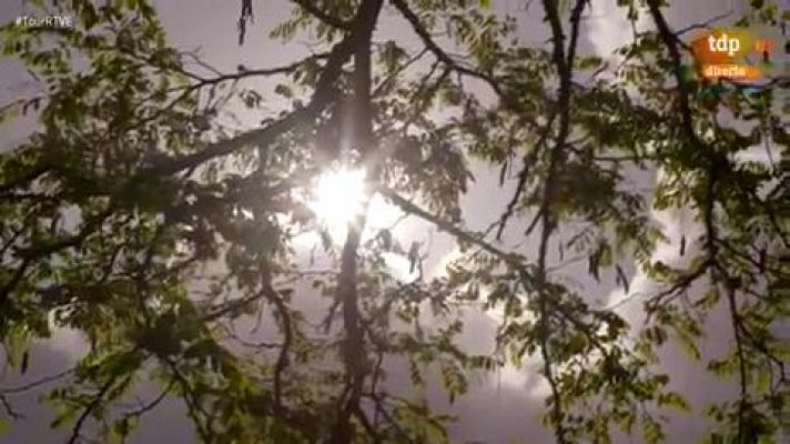 Tour de Francia - Tour 2019: No ha habido nunca un ciclista como Eddy Merckx