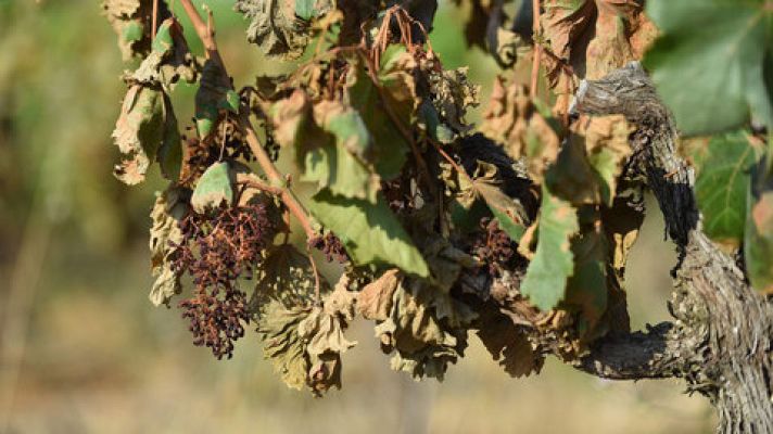 El tiempo - Alerta naranja por tormentas en el sudeste y por temperaturas en el noreste