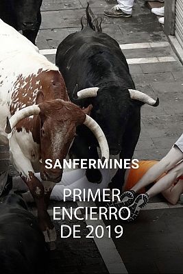 San Fermín - Primer encierro de San Fermín 2019: rápido y accidentado