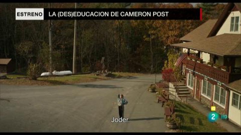 'La (des)educación de Cameron Post'