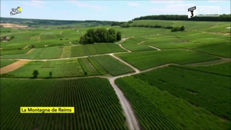 La llegada al Francia del Tour 2019 ha deparado imágenes curiosas como los pinchazos de cuatro de los favoritos durante el final de etapa.