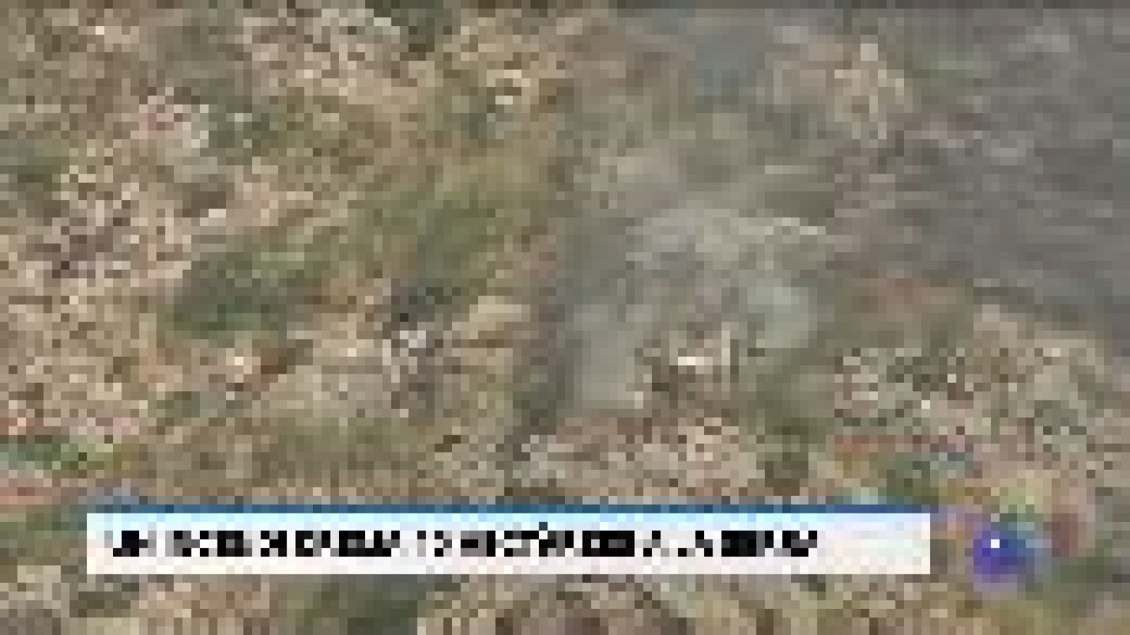 Informatiu Balear en 2' - 09/07/19