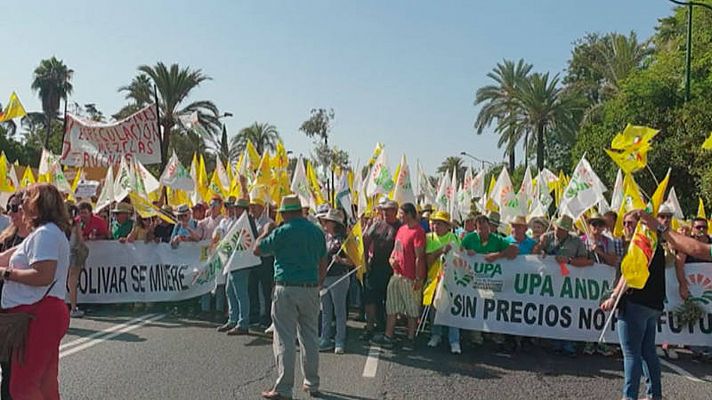 Miles de agricultores se movilizan por la crisis de precios 