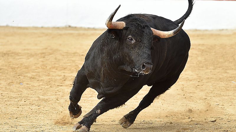 Sanfermines 2019: Recuperar la casta navarra