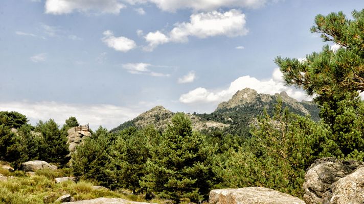 Informativo de Madrid - El Tiempo en la Comunidad de Madrid - 11/07/19