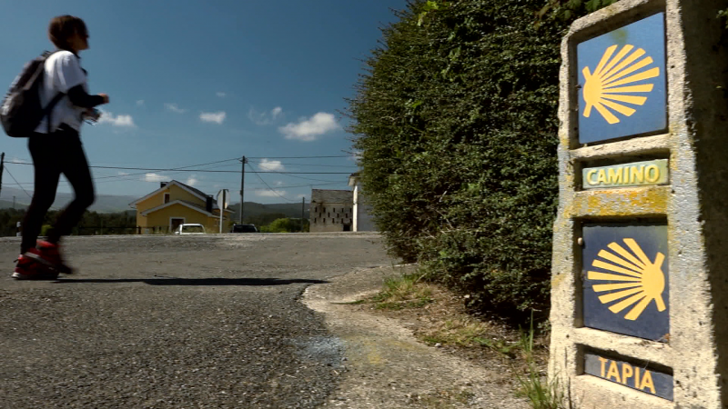 El camino de Santiago