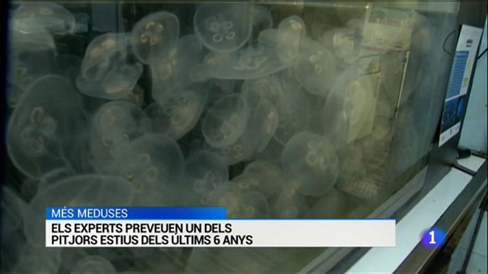 L'Informatiu - L'Informatiu - 12/07/2019