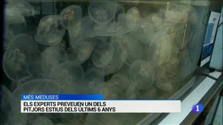 L'Informatiu - L'Informatiu - 12/07/2019