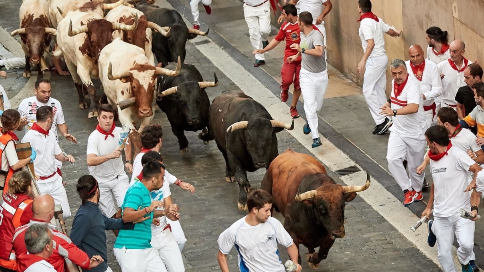 Vive San Fermín 2019 - Séptimo encierro - ver ahora 