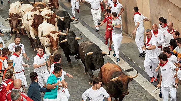 San Fermín - "Encierro bonito, limpio y parecía que los mansos acumulaban el cansancio de días anteriores"