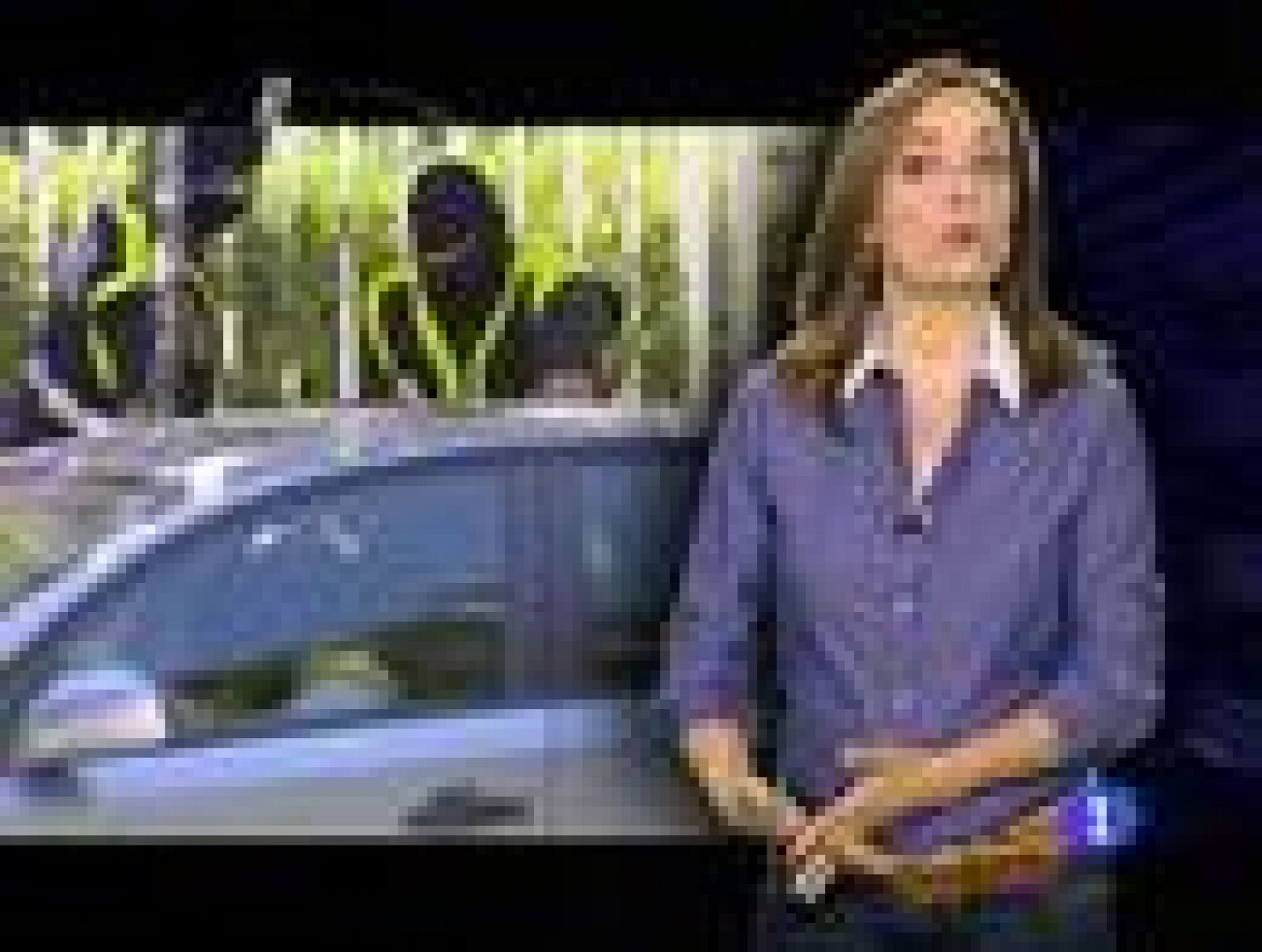 Informe semanal - ETA, en el túnel | Ver