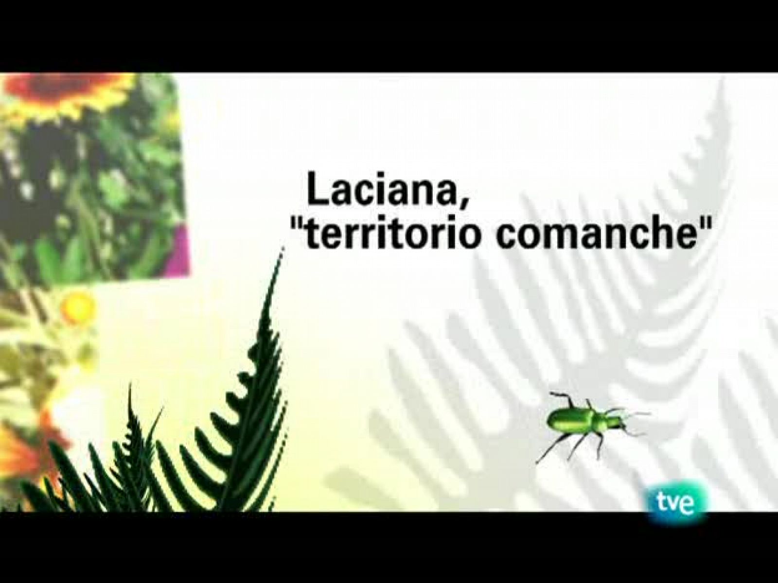 El escarabajo verde - Laciana: territorio comanche