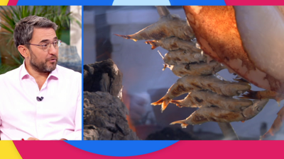 A partir de hoy - 16/07/19        