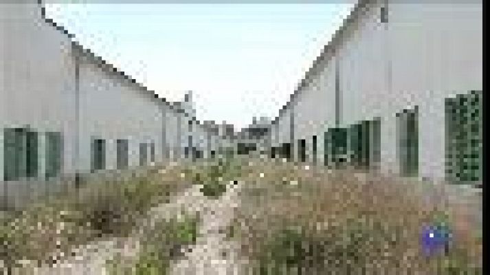 Informatiu Balear - Informatiu Balear 2 - 16/07/19