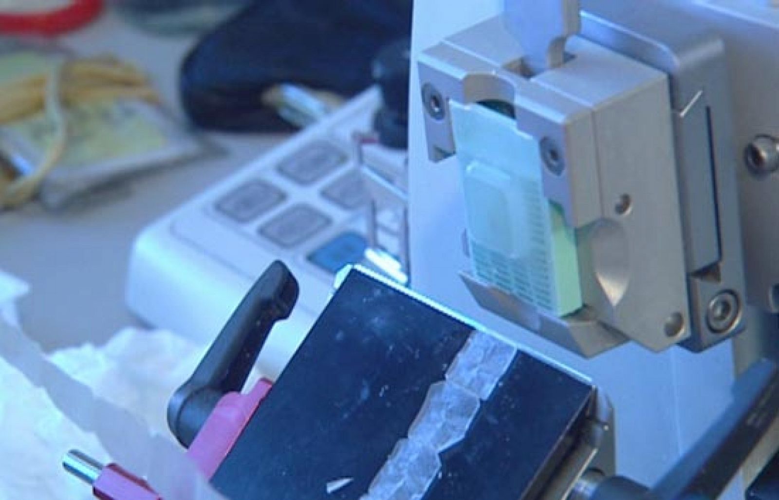 Científicos españoles fabrican en laboratorio un sustitutivo de la piel - Ciencia y tecnología en Rtve.es | Ver