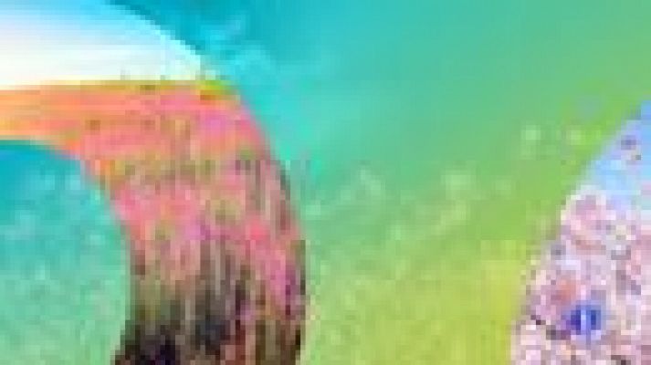 Telexornal - Galicia - El tiempo en Galicia - 17/07/19