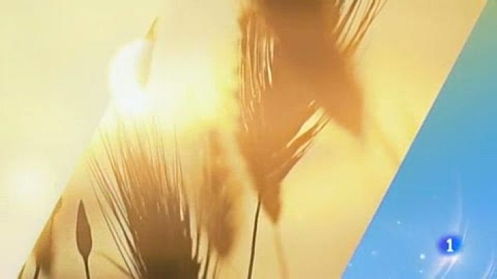 Telenorte - País Vasco - El tiempo en el País Vasco _ 17//07//2019