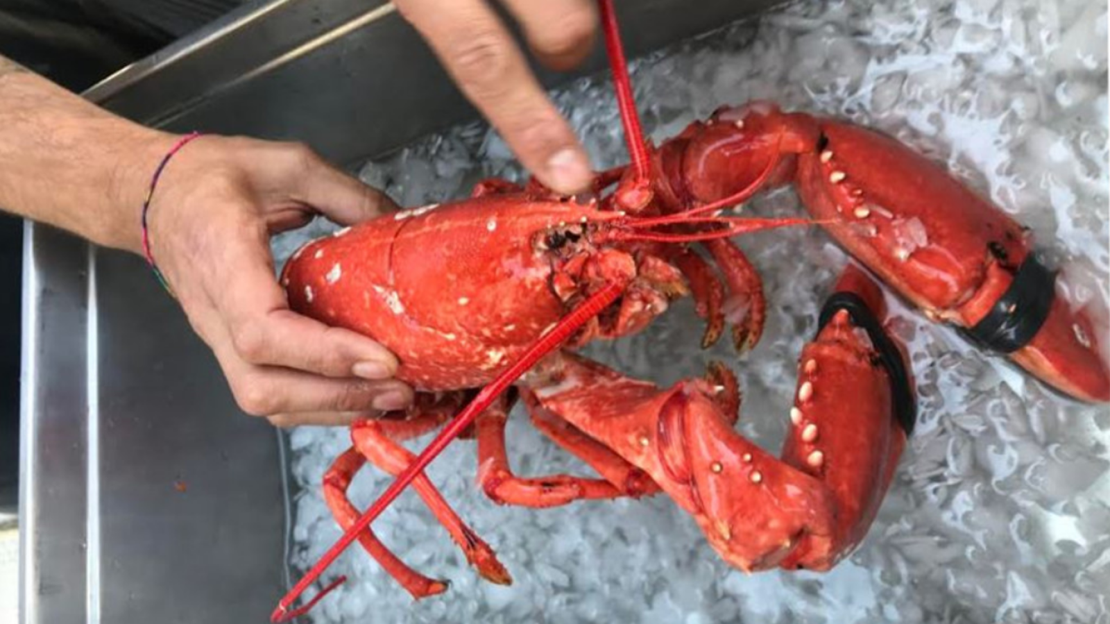 Aquí la Tierra - 17/07/19 - ver ahora