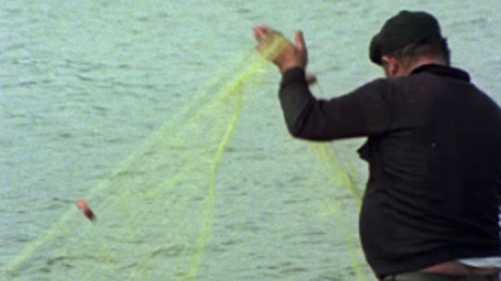 El arca de Noé (serie documental) - El estuario del Tajo