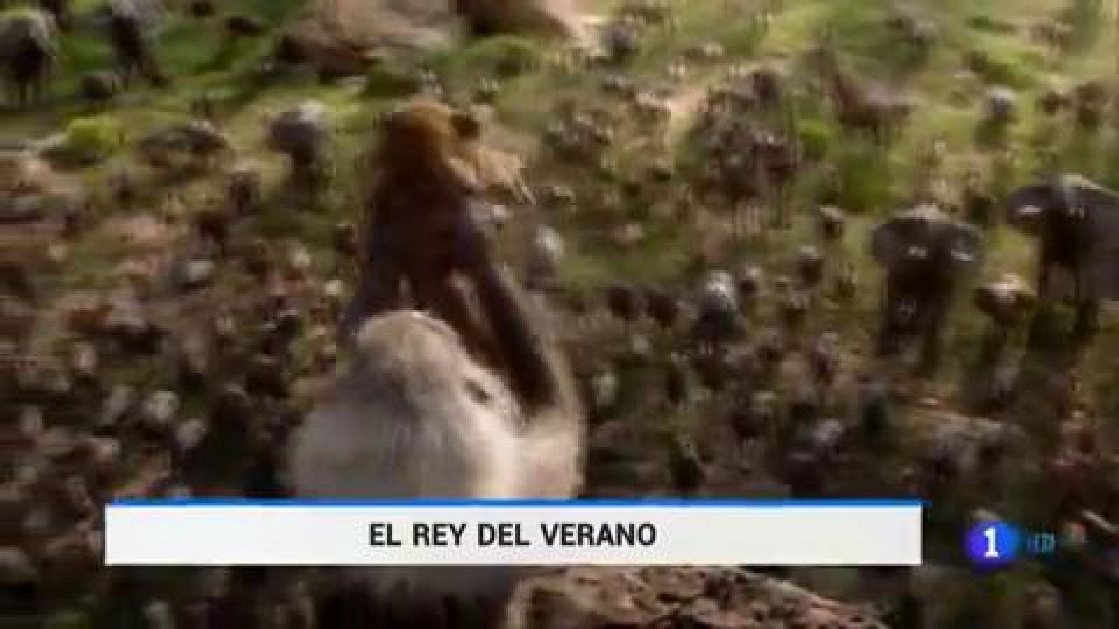 Telediario 1: 'El Rey León' se estrena hoy en 1229 pantallas de toda España | RTVE Play