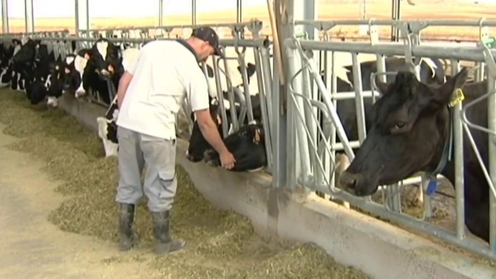 Agrosfera - 20/07/19 - ver ahora