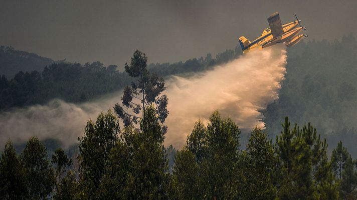 Telediario 1 en 4' - 21/07/19