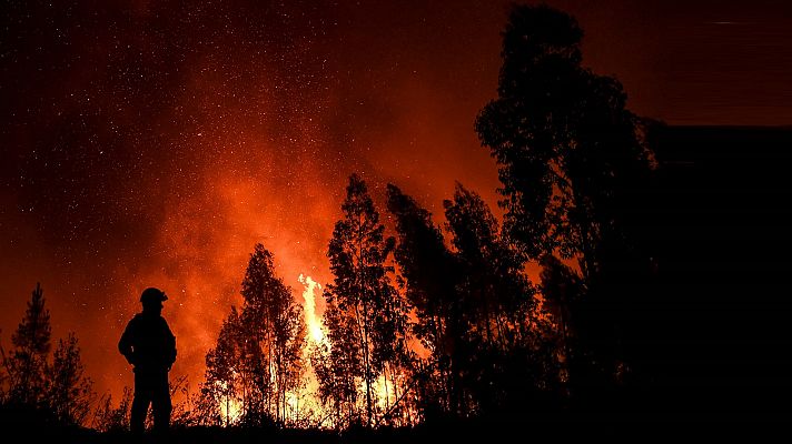 Telediario - 15 horas - 21/07/19 - Lengua de signos