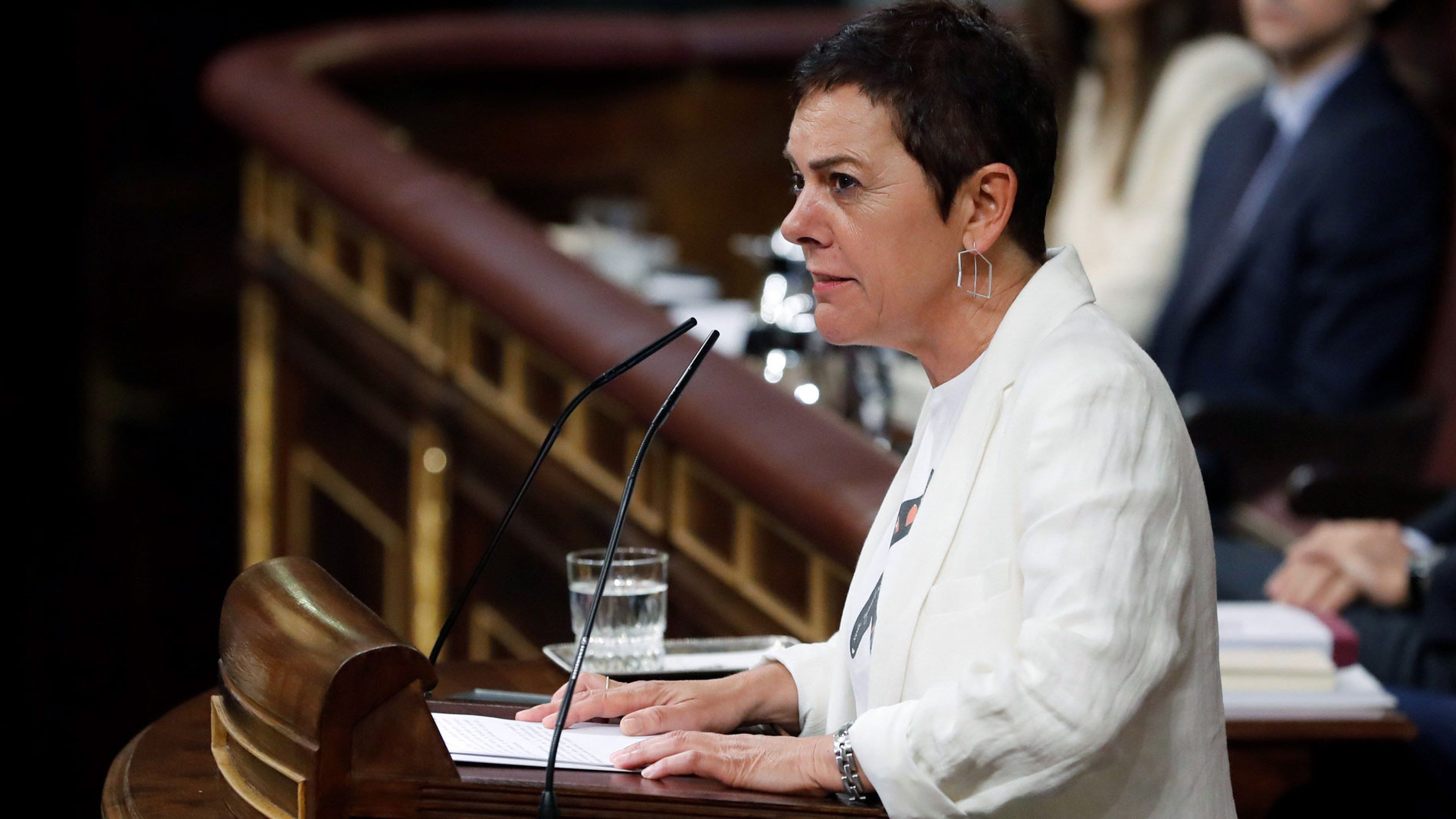 Debate Investidura Bildu Se Abstiene Pero No Da Un Cheque En Blanco