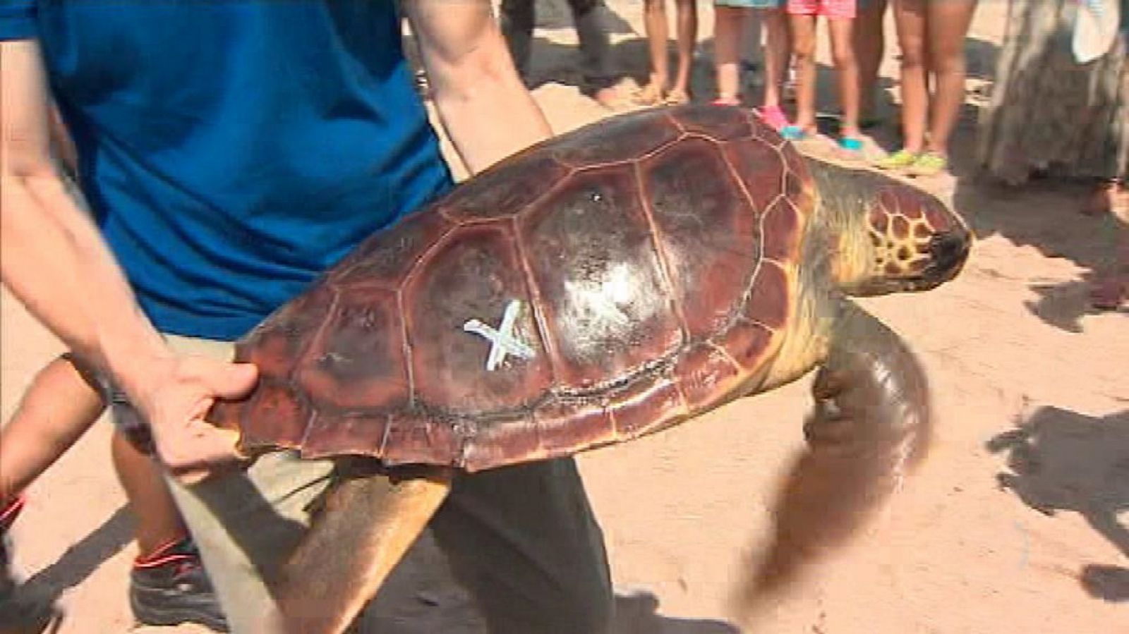 L'Informatiu - Comunitat Valenciana - 24/07/19 - ver ahora