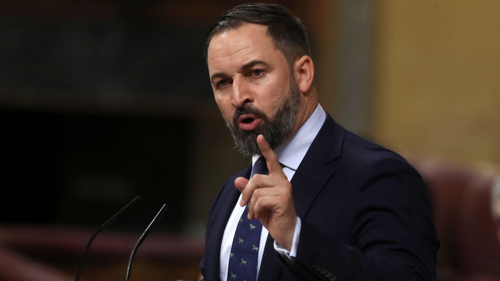 Abascal: "Nunca apoyaremos a la marioneta que quieren colocar al frente del gobierno de España y contra España"