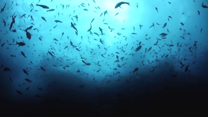 Universo UNED - UNED - 26/07/19