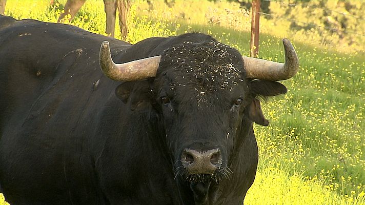 Tendido cero - 27/07/19