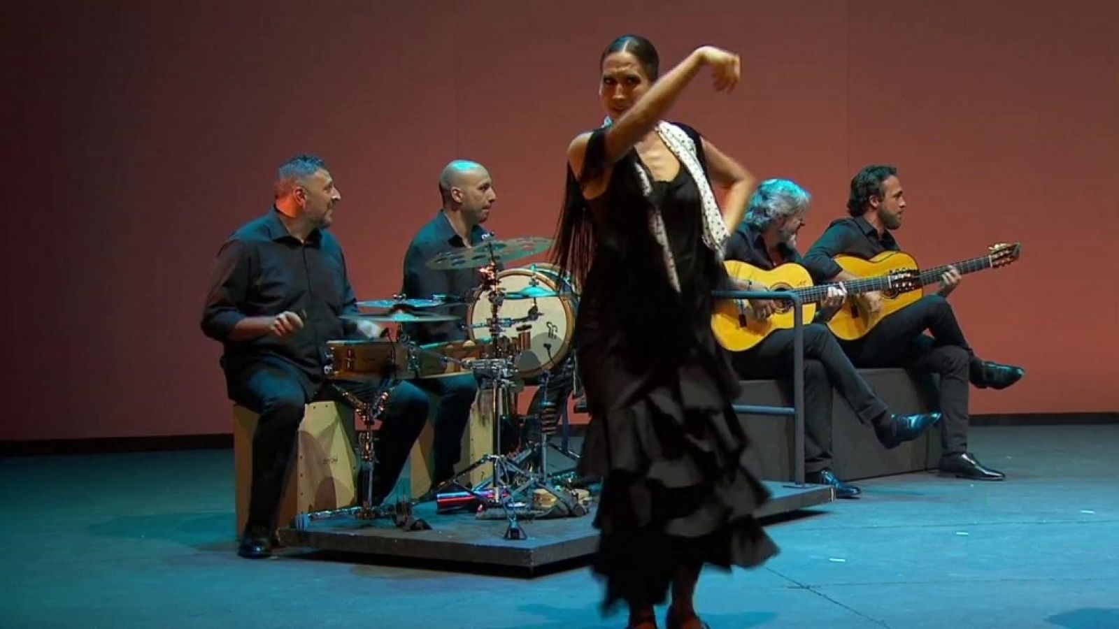 Gala 50 Aniversario Fundación Vicente Ferrer - ver ahora