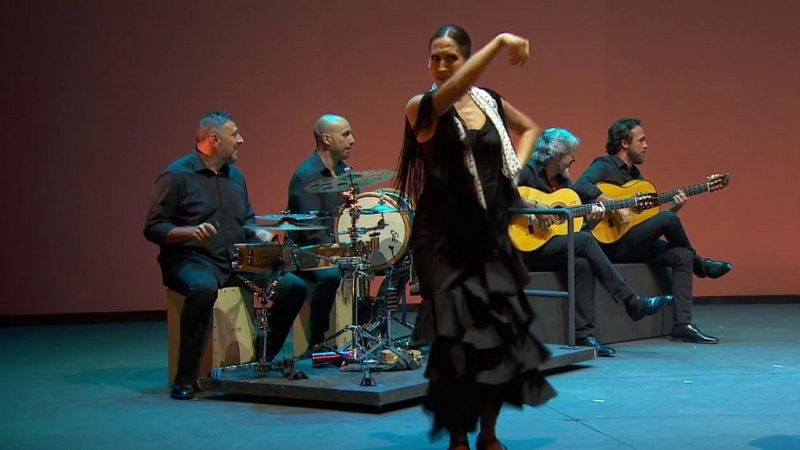 Gala 50 Aniversario Fundación Vicente Ferrer - ver ahora