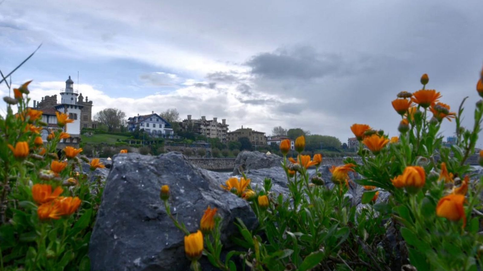 Arranca en verde - Getxo - ver ahora