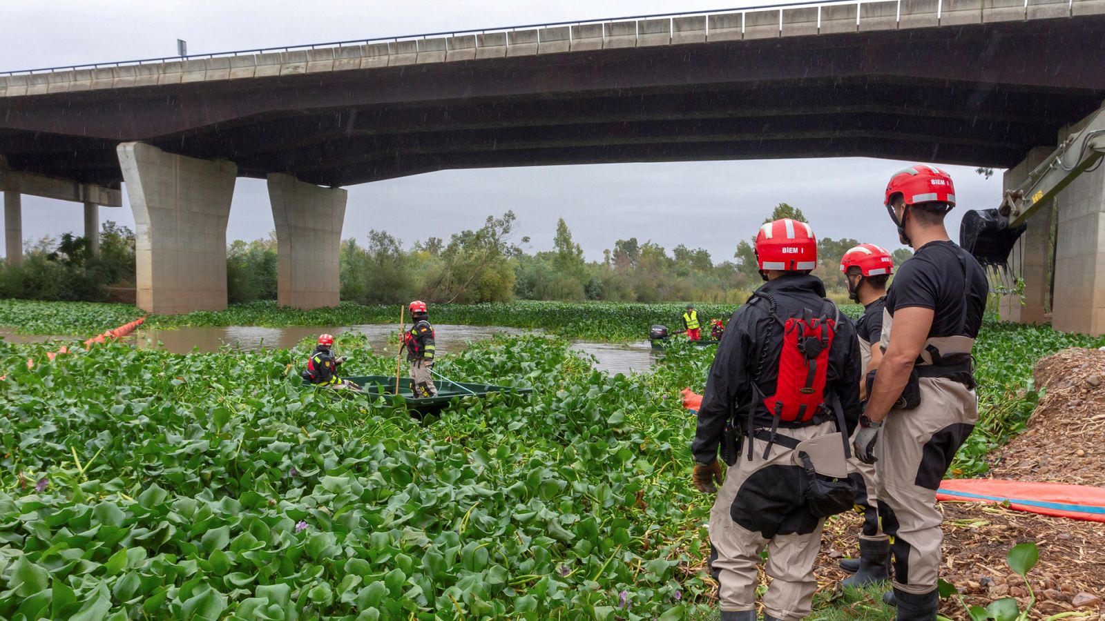 Telediario 1: El plan de choque contra el camalote en el río Guadiana reduce su presencia en el curso del río | RTVE Play