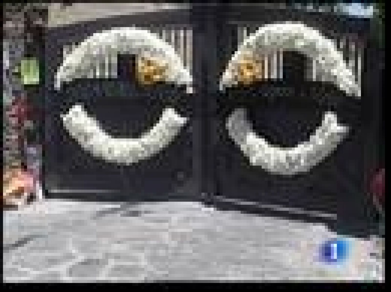 30 coches formarán el cortejo fúnebre de Michael Jackson | Ver