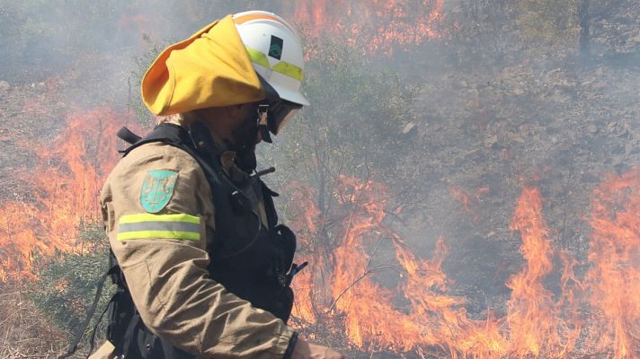 Telediario 1 - Los investigados por incendios forestales se duplican