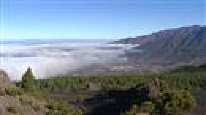 Telecanarias - El tiempo en Canarias - 29/07/2019