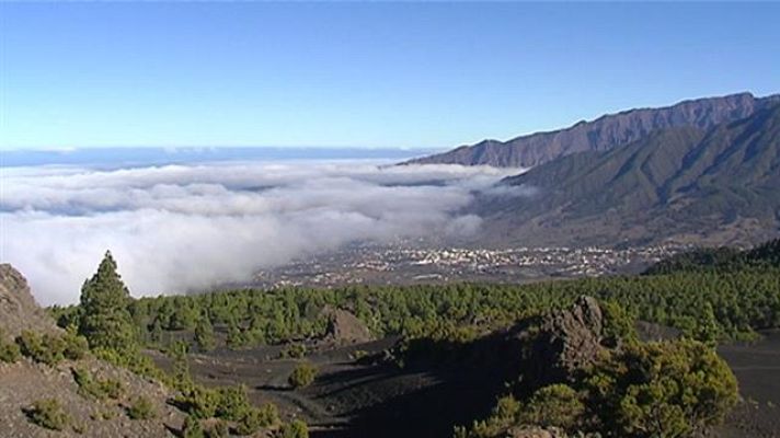 Telecanarias - El tiempo en Canarias - 29/07/2019